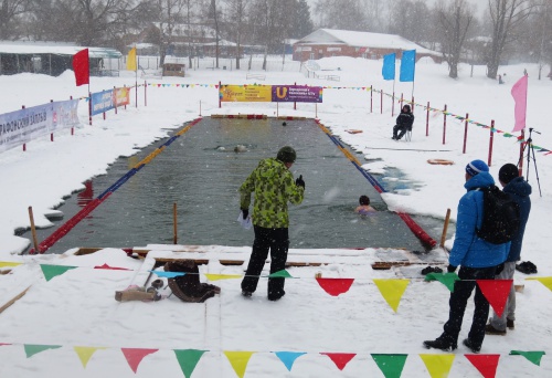 Во время суточного марафонского заплыва  установили новый рекорд Республики Башкортостан