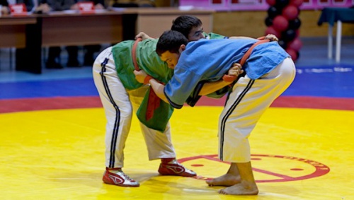 Уфимские воспитанники спортивных школ стали призерами Чемпионатов мира по борьбе на поясах и корэш.