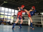Всероссийские спортивные соревнования по тайскому боксу в рамках IX Открытых Всероссийских юношеских игр боевых искусств