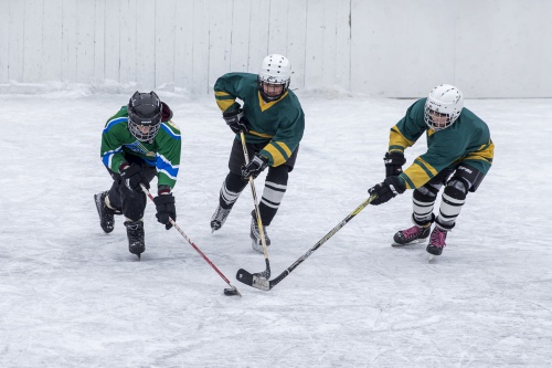 4 февраля в Уфе стартуют республиканские соревнования  юных хоккеистов «Золотая шайба».