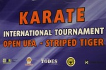 Международный турнир по каратэ «Open Ufa «Полосатый тигр-2015»